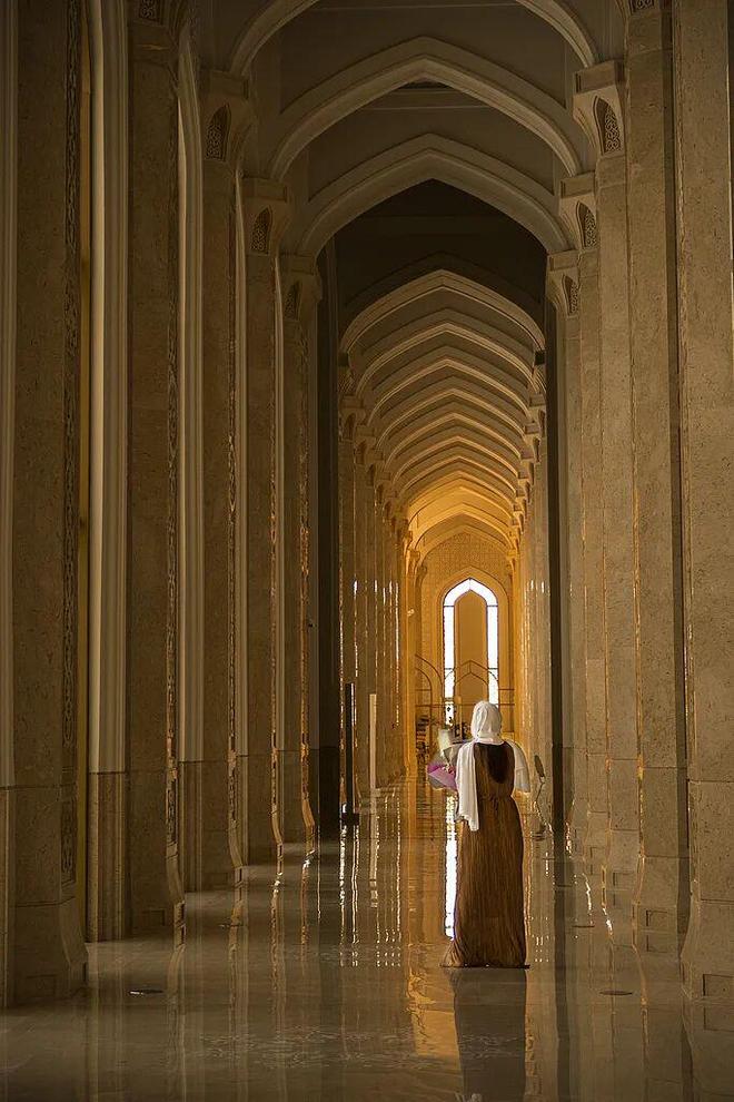 的首都左岸科幻感右岸游牧风不朽情缘手机版全球最年轻(图8)