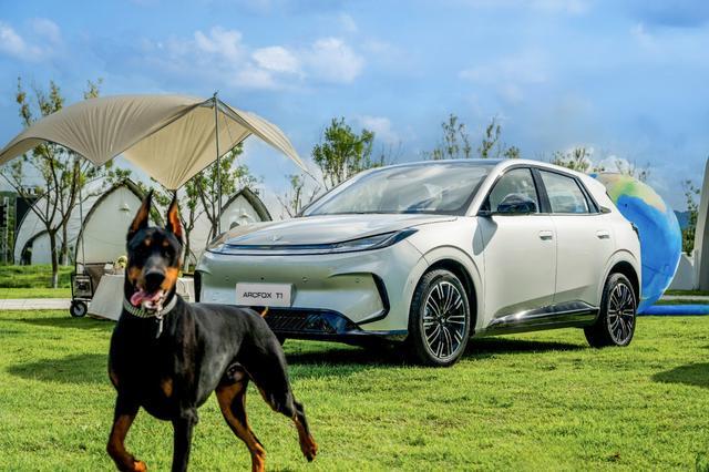 蛋”！极狐T1装下全家露营装备不朽情缘正版6万级藏“空间彩(图1)